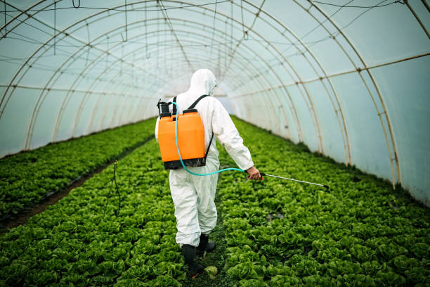 Best Best Pest Control Companies  in Olive Branch, MS
