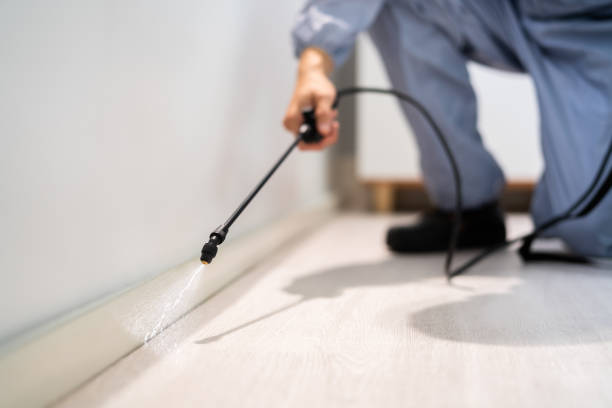 Professional Pest Control in Olive Branch, MS