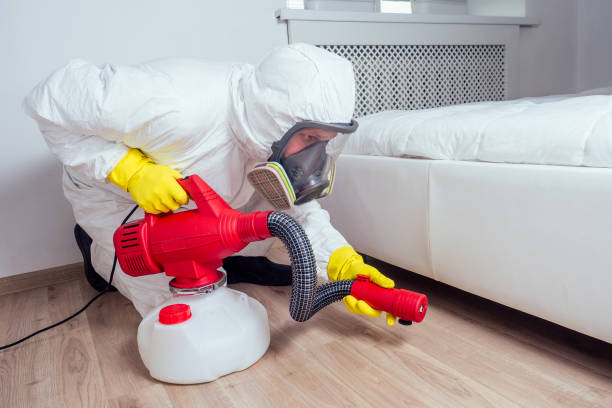 Best Best Pest Control Companies  in Olive Branch, MS