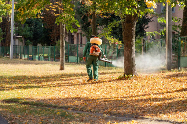 Best Cockroach Control Services  in Olive Branch, MS